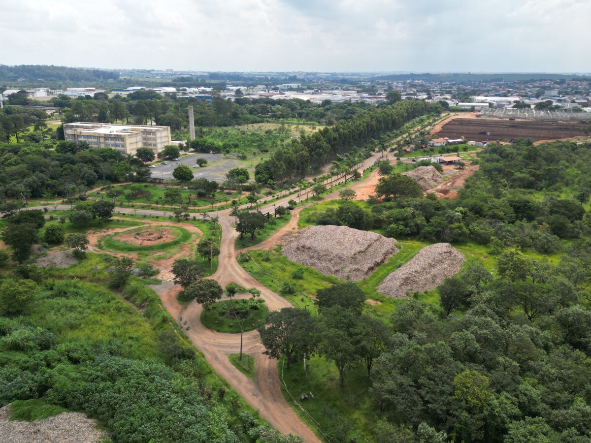 Campinas transfere &aacute;rvores para liberar obra na avenida Prestes Maia