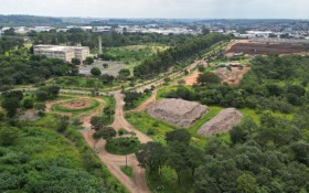 Campinas transfere &aacute;rvores para liberar obra na avenida Prestes Maia