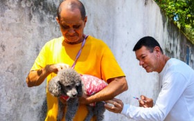 Dia D da vacina&ccedil;&atilde;o antirr&aacute;bica imuniza mais de 2.600 c&atilde;es e gatos