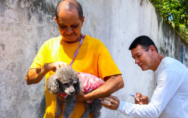 Dia D da vacina&ccedil;&atilde;o antirr&aacute;bica imuniza mais de 2.600 c&atilde;es e gatos