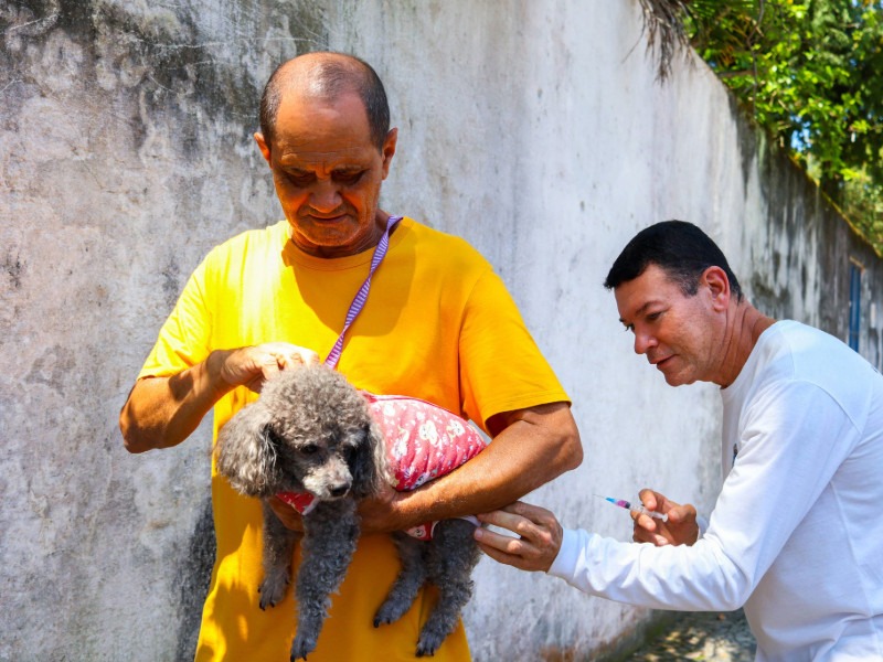 Dia D da vacina&ccedil;&atilde;o antirr&aacute;bica imuniza mais de 2.600 c&atilde;es e gatos