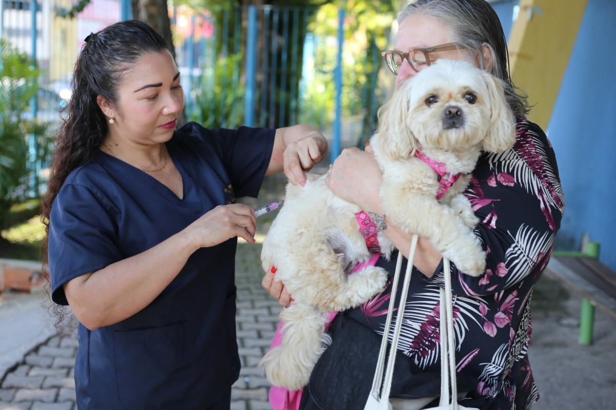 Campanha antirr&aacute;bica imuniza mais de 17 mil animais
