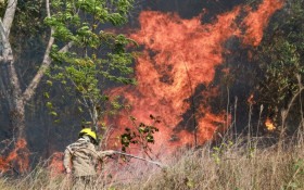 Pesquisa da Ufac mapeia &aacute;reas queimadas no Acre