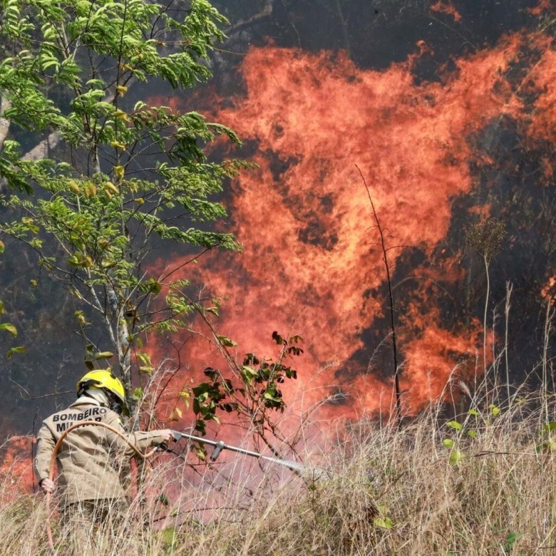 Pesquisa da Ufac mapeia &aacute;reas queimadas no Acre
