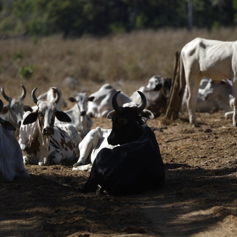 Agroneg&oacute;cio liga sinal de alerta sobre endividamento