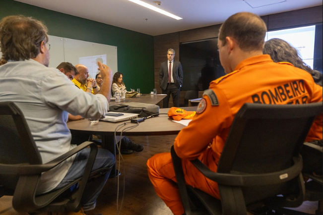 Macaque in the trees