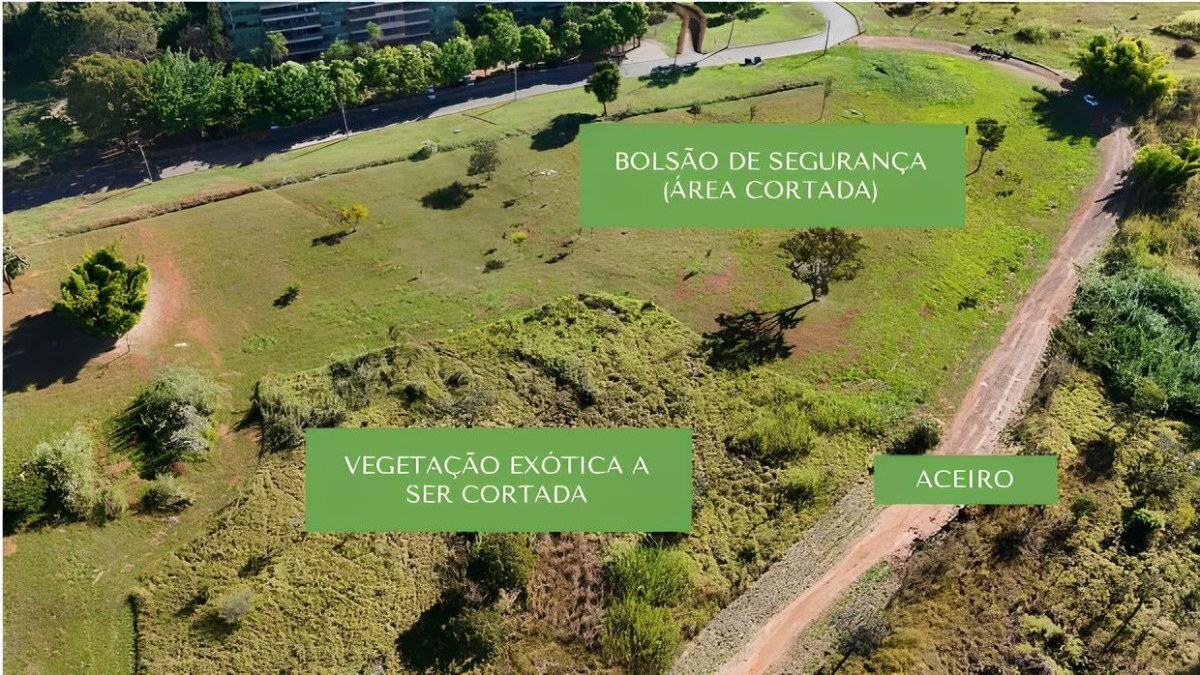 UnB implanta aceiros nos campi para reduzir os riscos de inc&ecirc;ndios