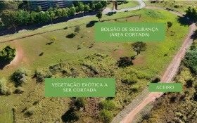 UnB implanta aceiros nos campi para reduzir os riscos de inc&ecirc;ndios