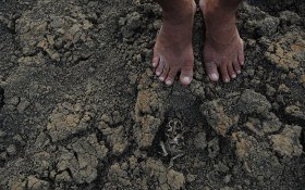 El Ni&ntilde;o eleva risco de seca grave no Nordeste
