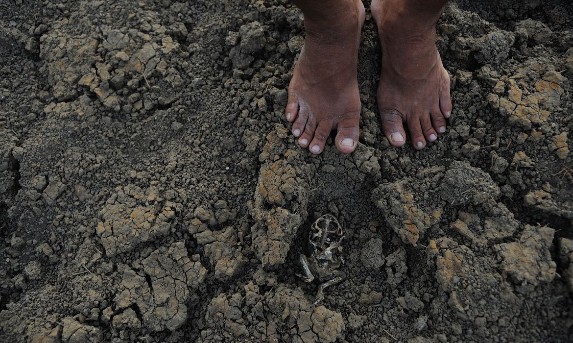 El Ni&ntilde;o eleva risco de seca grave no Nordeste