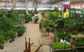 Ceaflor sedia Congresso, mostra depaisagismo e feira em Jaguari&uacute;na