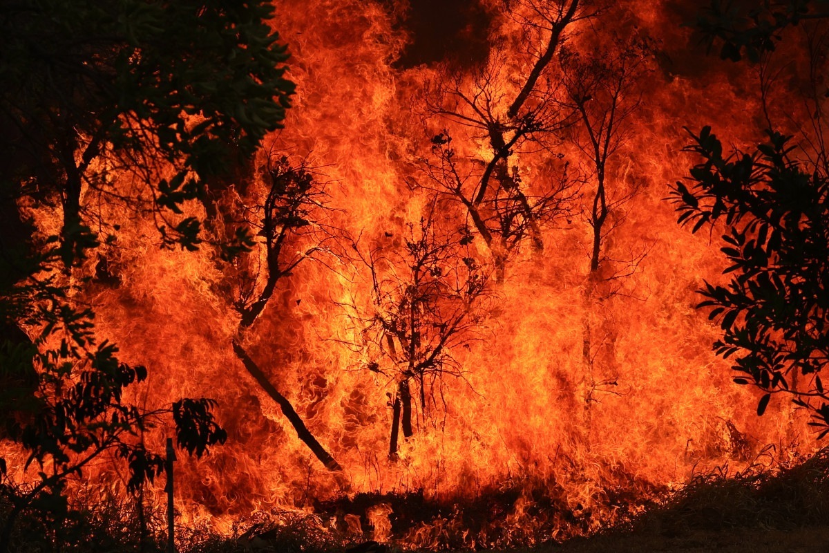 Aeronaves combatem fogo no Amazonas