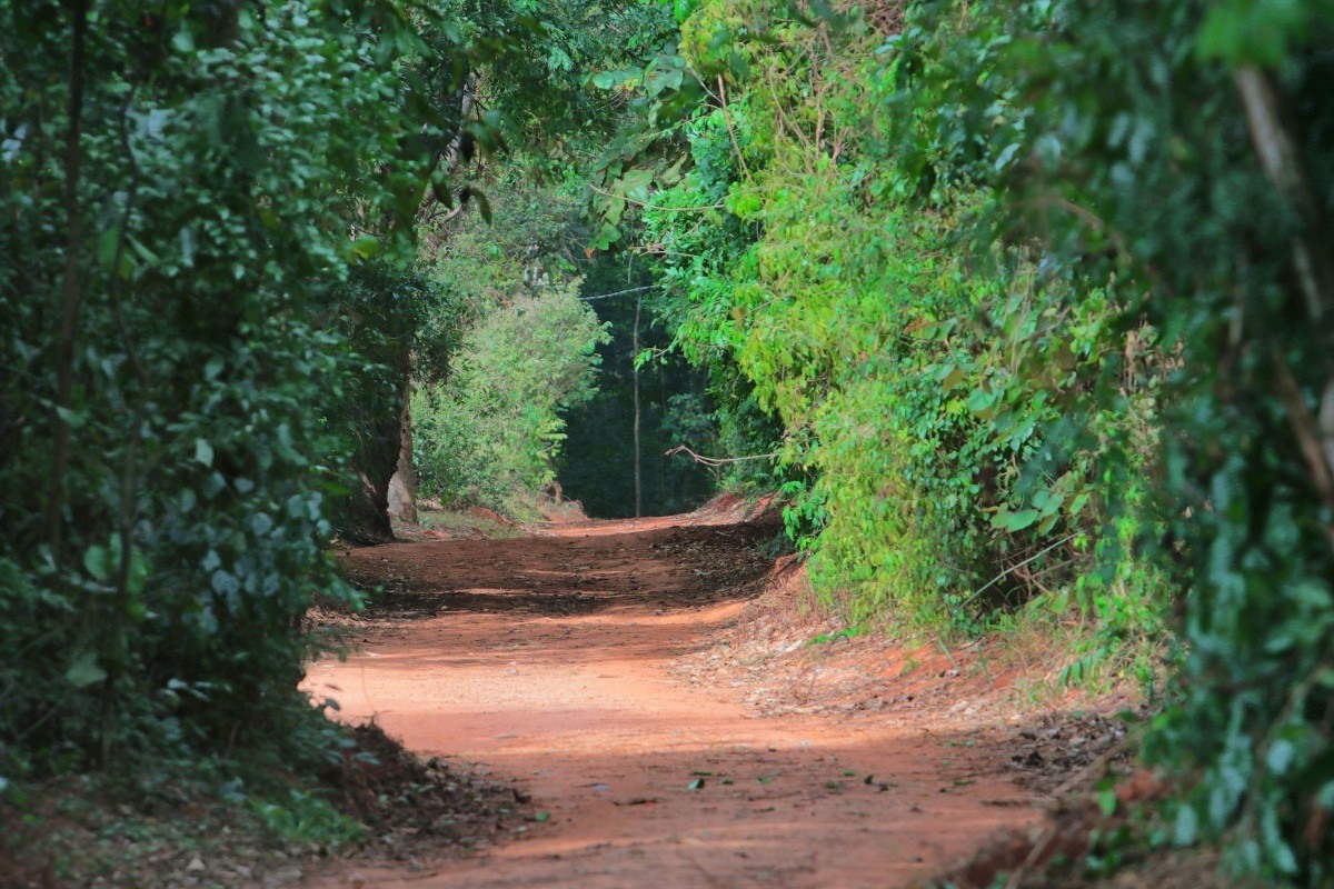 Parques da regi&atilde;o Norte de Campinas seguem fechados por chuva