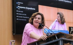 Projeto de lei quer banir uso e venda de armadilhas com cola