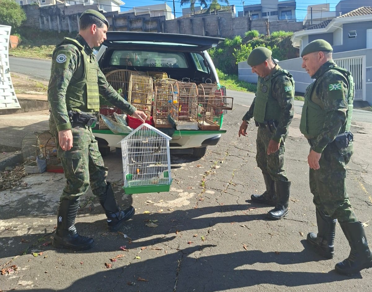 Dezenove aves silvestres s&atilde;o apreendidas em situa&ccedil;&atilde;o de maus-tratos em Valinhos
