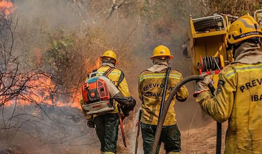 Impacto das queimadas na sa&uacute;de ind&iacute;gena do Amazonas