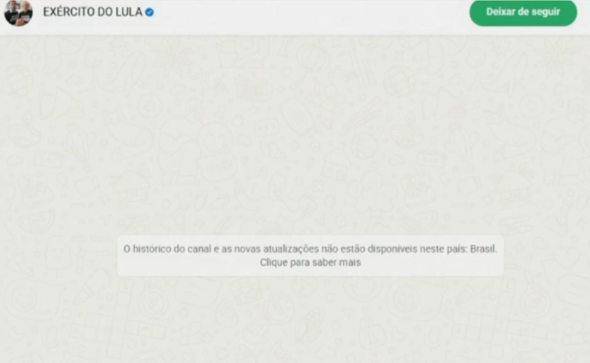 Canal 'Ex&eacute;rcito do Lula' sai do ar e ser&aacute; retomado ap&oacute;s 48 horas