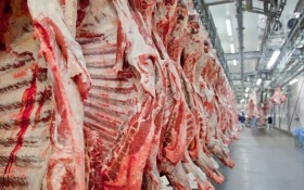 MT: Sinop j&aacute; superou as exporta&ccedil;&otilde;es de carne de 2025