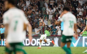 Fluminense perde para o Palmeiras, mas segue vivo na briga pela vaga na final