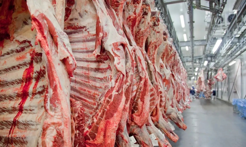 MT: Sinop j&aacute; superou as exporta&ccedil;&otilde;es de carne de 2025