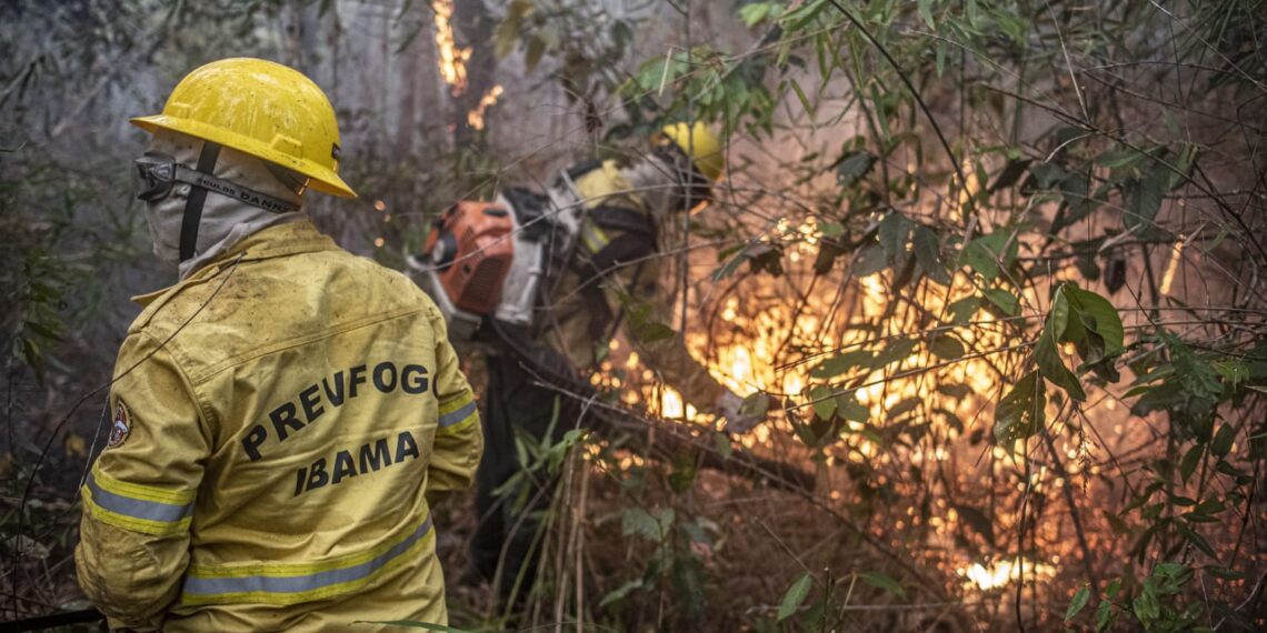 Queimadas mobilizam sa&uacute;de em munic&iacute;pios do Amazonas