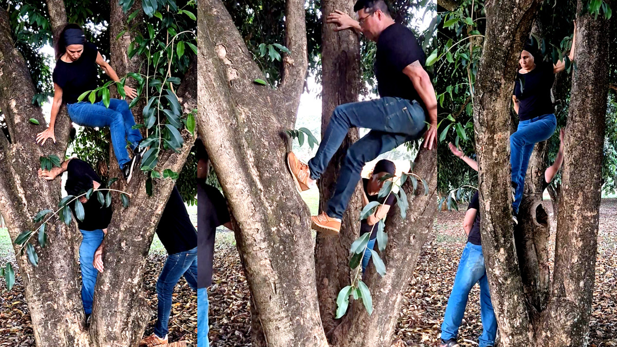 BRASILIANAS | Lan&ccedil;amento de Fronteiras Po&eacute;ticas destaca rela&ccedil;&otilde;es entre urbano e natureza no DF