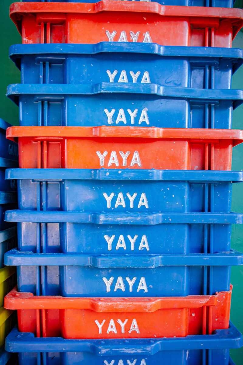 Yaya