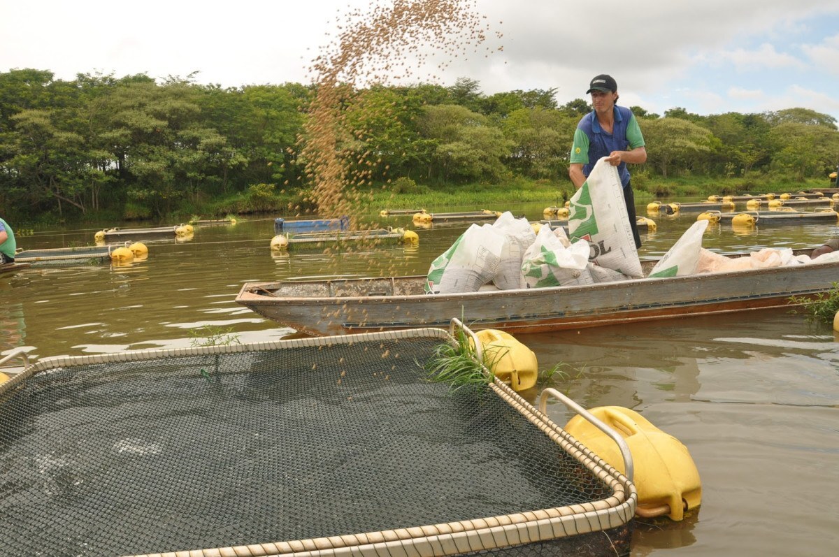 O que muda no licenciamento ambiental da aquicultura