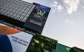 Rio lan&ccedil;a na COP 17 estrat&eacute;gia estadual de biodiversidade