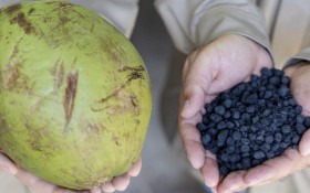 Biocarv&atilde;o de coco passa por teste industrial no Cear&aacute;