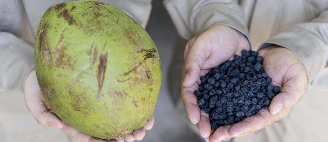 Biocarv&atilde;o de coco passa por teste industrial no Cear&aacute;
