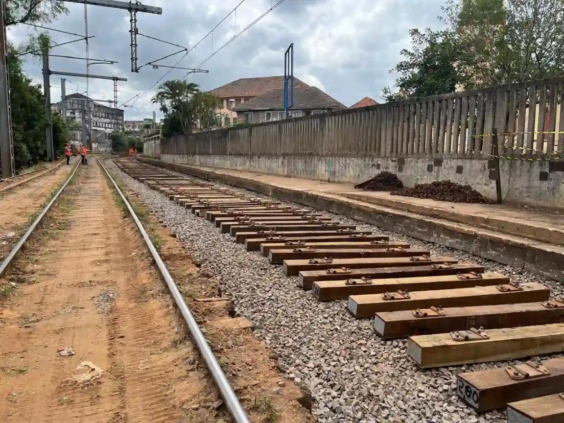 CPTM contrata madeireira por R$ 5,6 milh&otilde;es com hist&oacute;rico de autua&ccedil;&otilde;es ambientais