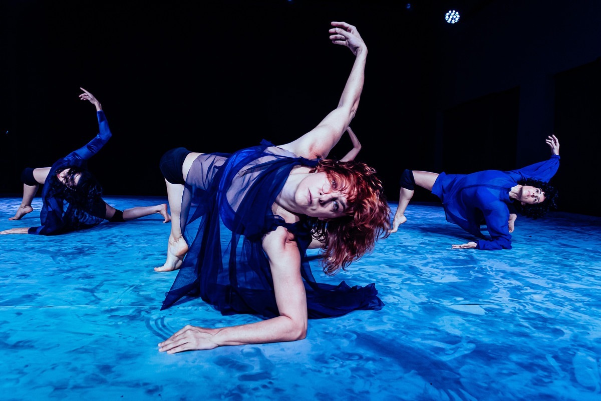 Macaque in the trees