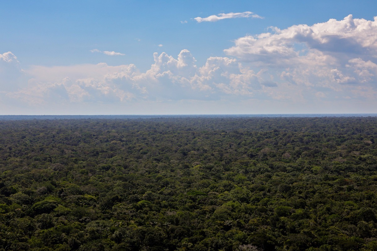 Estudo v&ecirc; atividade humana em emiss&atilde;o de carbono na Amaz&ocirc;nia