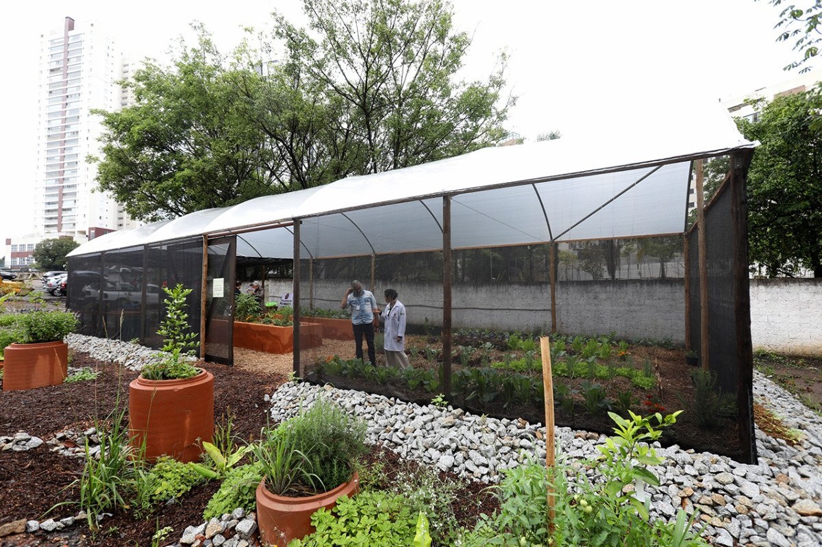 Estufa na Zona Sul ter&aacute; aulas sobre cultivo urbano