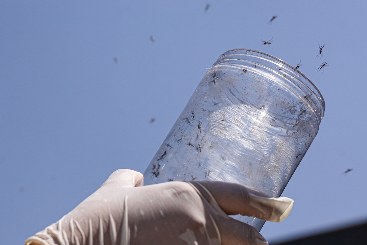 Mudan&ccedil;a no clima multiplica as doen&ccedil;as infecciosas