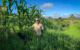 Mecaniza&ccedil;&atilde;o amplia produ&ccedil;&atilde;o rural no Maranh&atilde;o