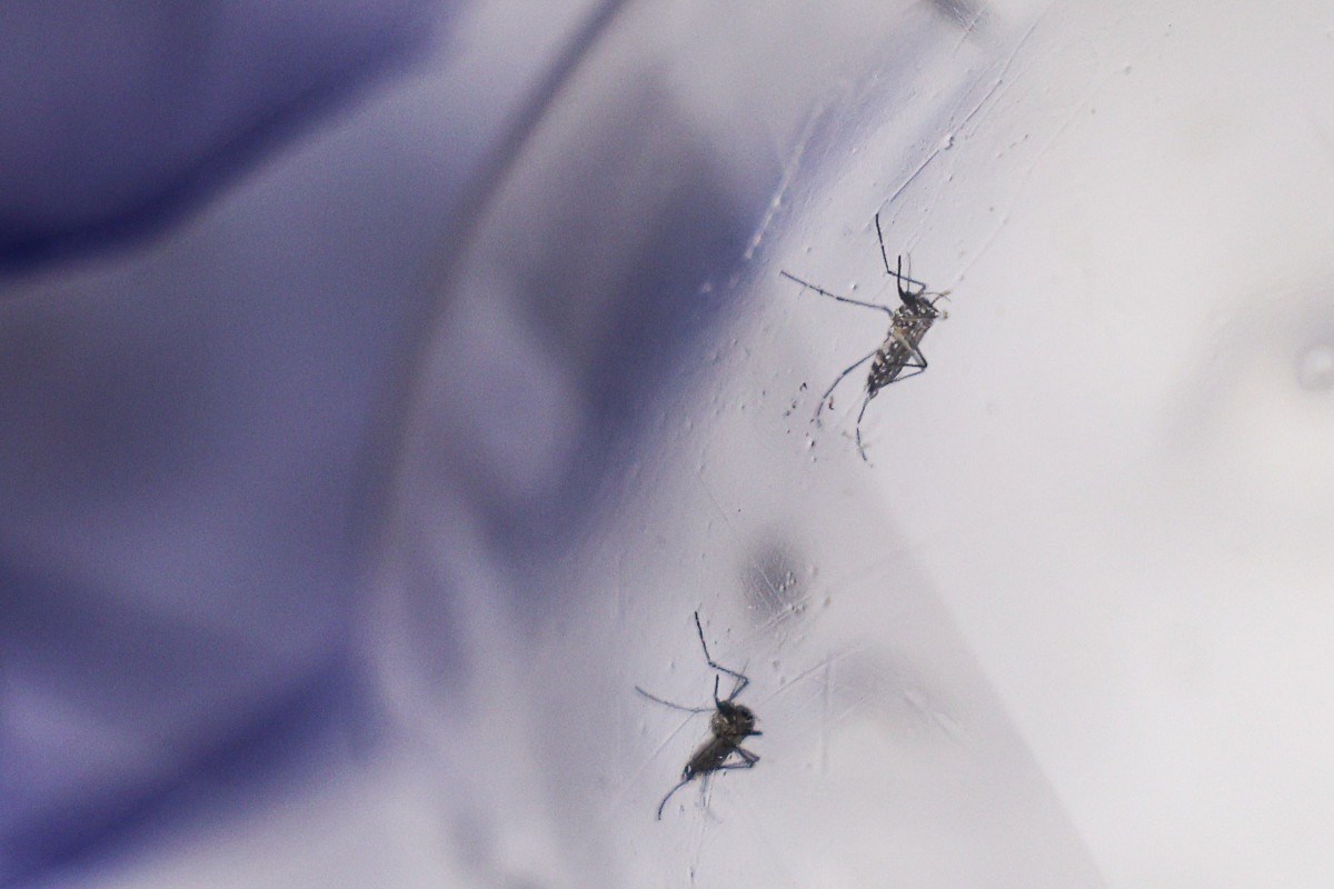 Dengue: 3 mi de adolescentes est&atilde;o com vacina&ccedil;&atilde;o incompleta