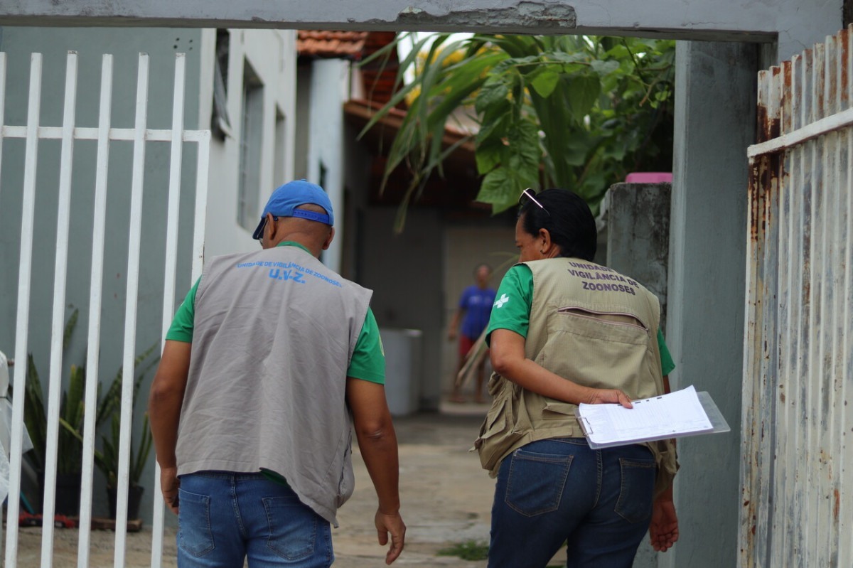 Hortol&acirc;ndia registra &iacute;ndice m&eacute;dio de larvas do Aedes e retoma as visitas nos bairros