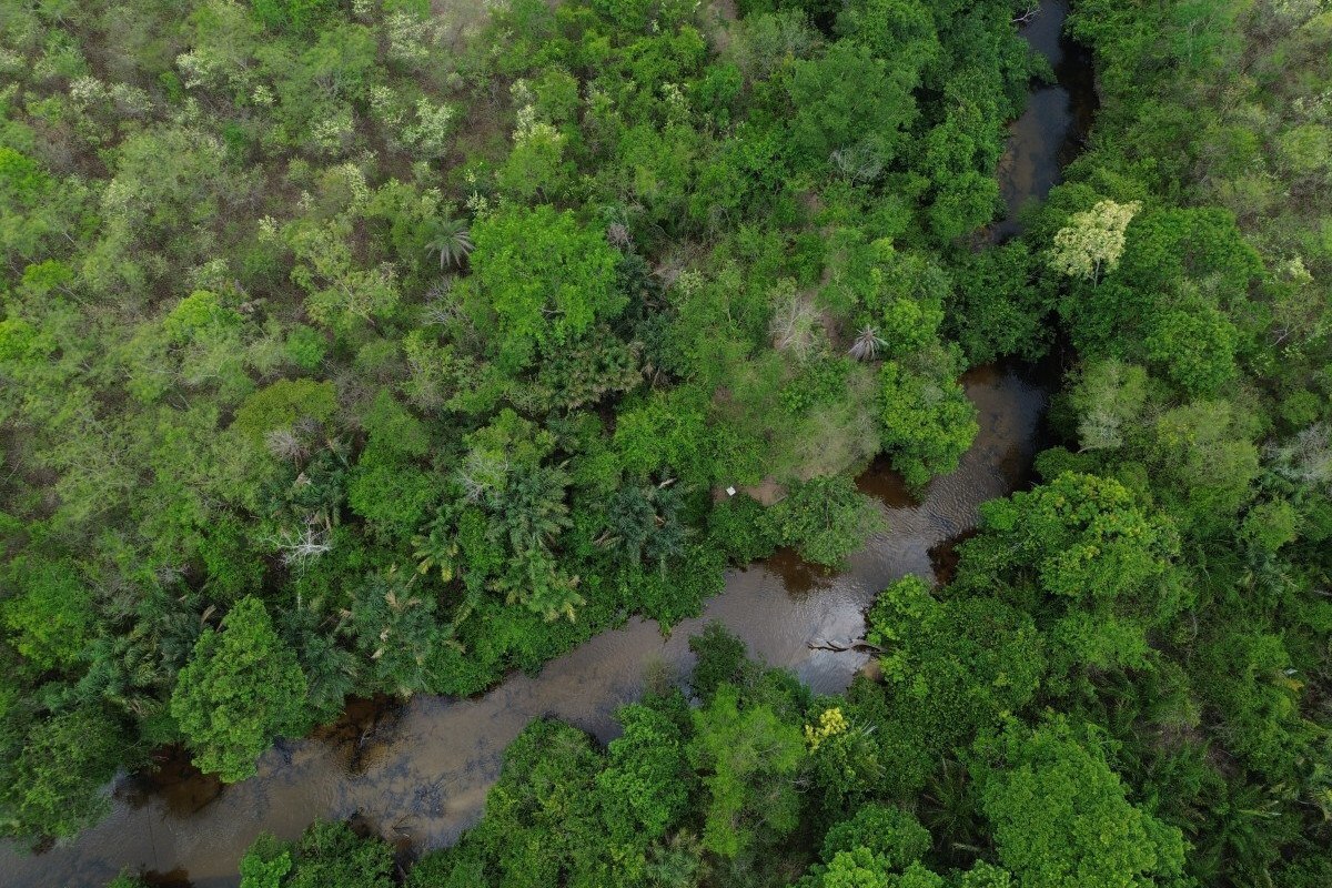 Brasil diminui em 43% &aacute;rea de vegeta&ccedil;&atilde;o nativa fragmentada