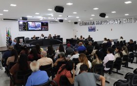 C&acirc;mara de Nova Odessa analisa projeto para novo sistema vi&aacute;rio