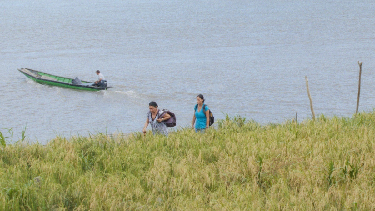 Festa latina na premia&ccedil;&atilde;o da 50&ordf; Mostra de Cinema de S&atilde;o Paulo